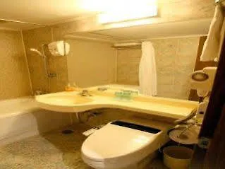 Hotel Airport Seoul 3*,
